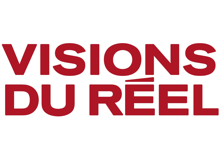visiondureel